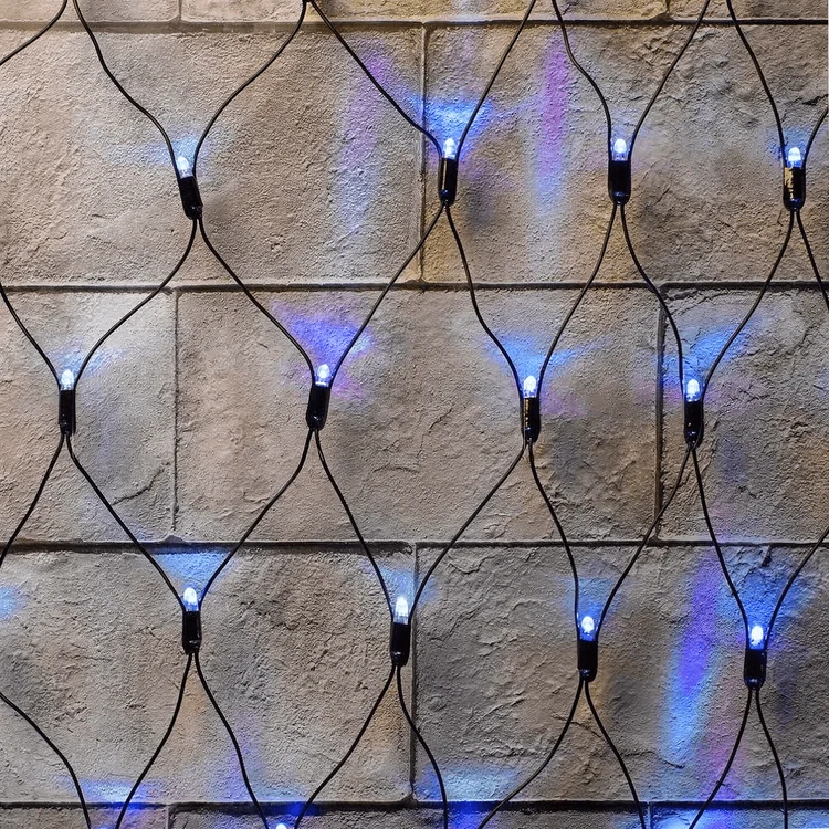 50198961-f3e3-4f76-9873-a9be376beadb-phototune.ai_1788338895.png